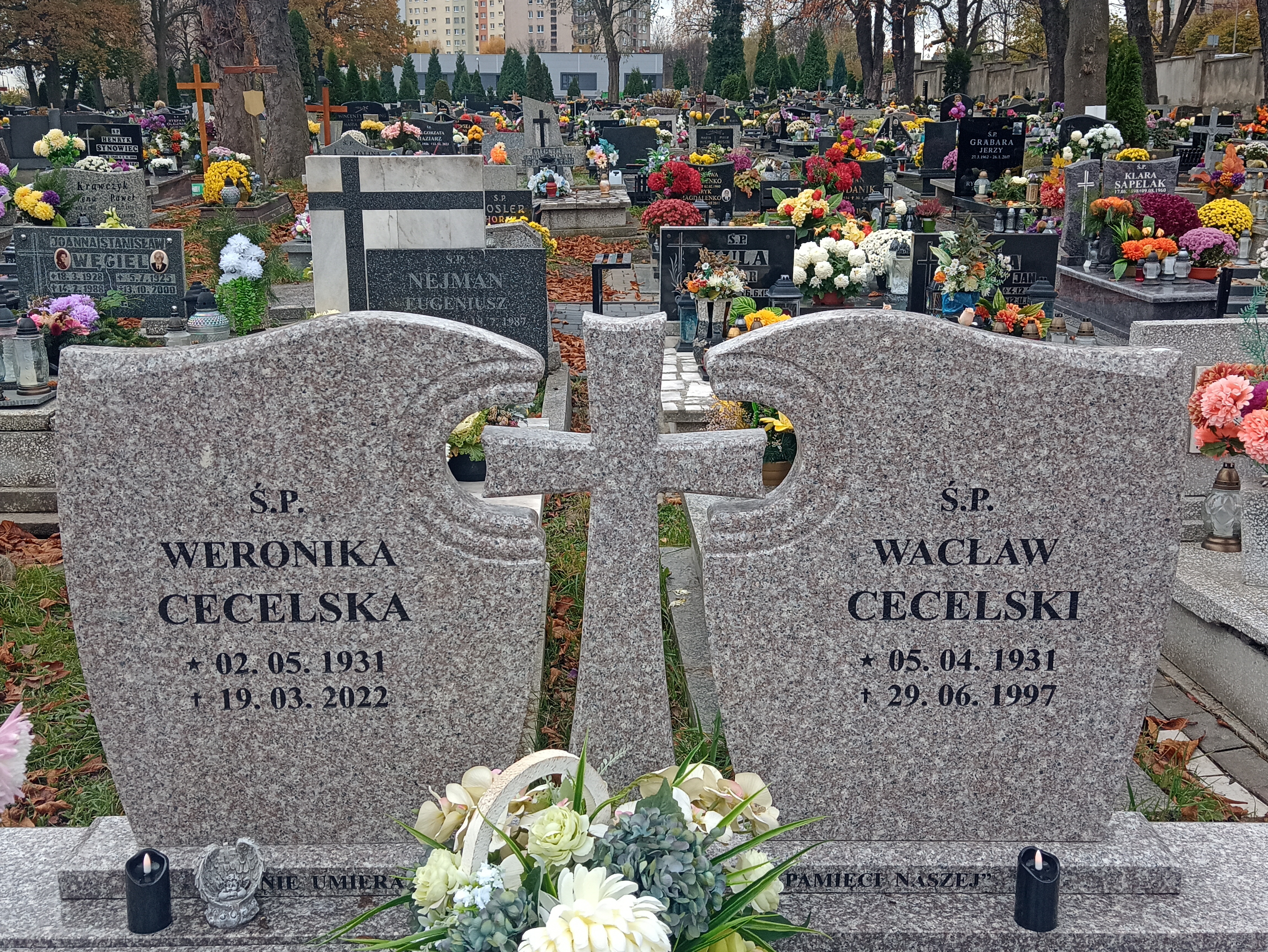 Wacław Cecelski 1931 Mysłowice NSPJ - Grobonet - Wyszukiwarka osób pochowanych