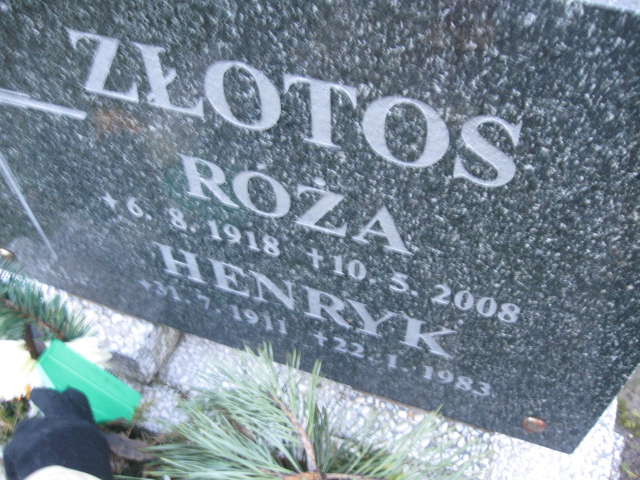 Grób Róża Złotos