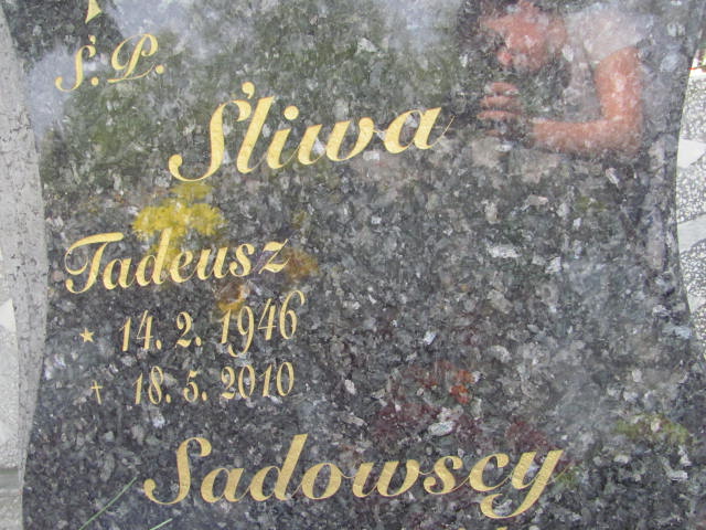 Helena Sadowska 1931 Mysłowice NSPJ - Grobonet - Wyszukiwarka osób pochowanych