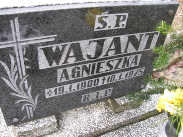 Stefania Wajant 1936 Mysłowice NSPJ - Grobonet - Wyszukiwarka osób pochowanych