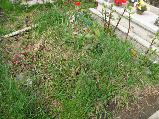 Robert Poloczek Mysłowice NSPJ - Grobonet - Wyszukiwarka osób pochowanych