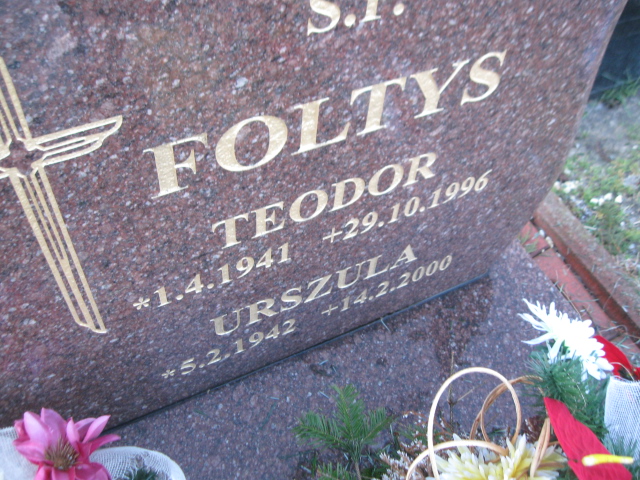 Teodor Foltys 1941 Mysłowice NSPJ - Grobonet - Wyszukiwarka osób pochowanych