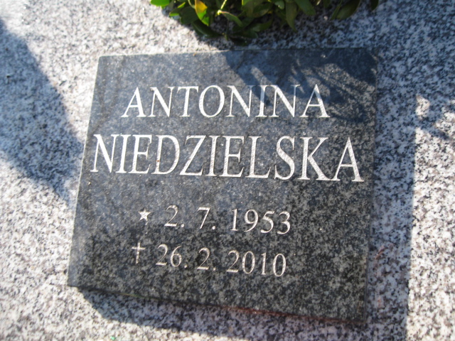 Adam Niedzielski 1978 Mysłowice NSPJ - Grobonet - Wyszukiwarka osób pochowanych