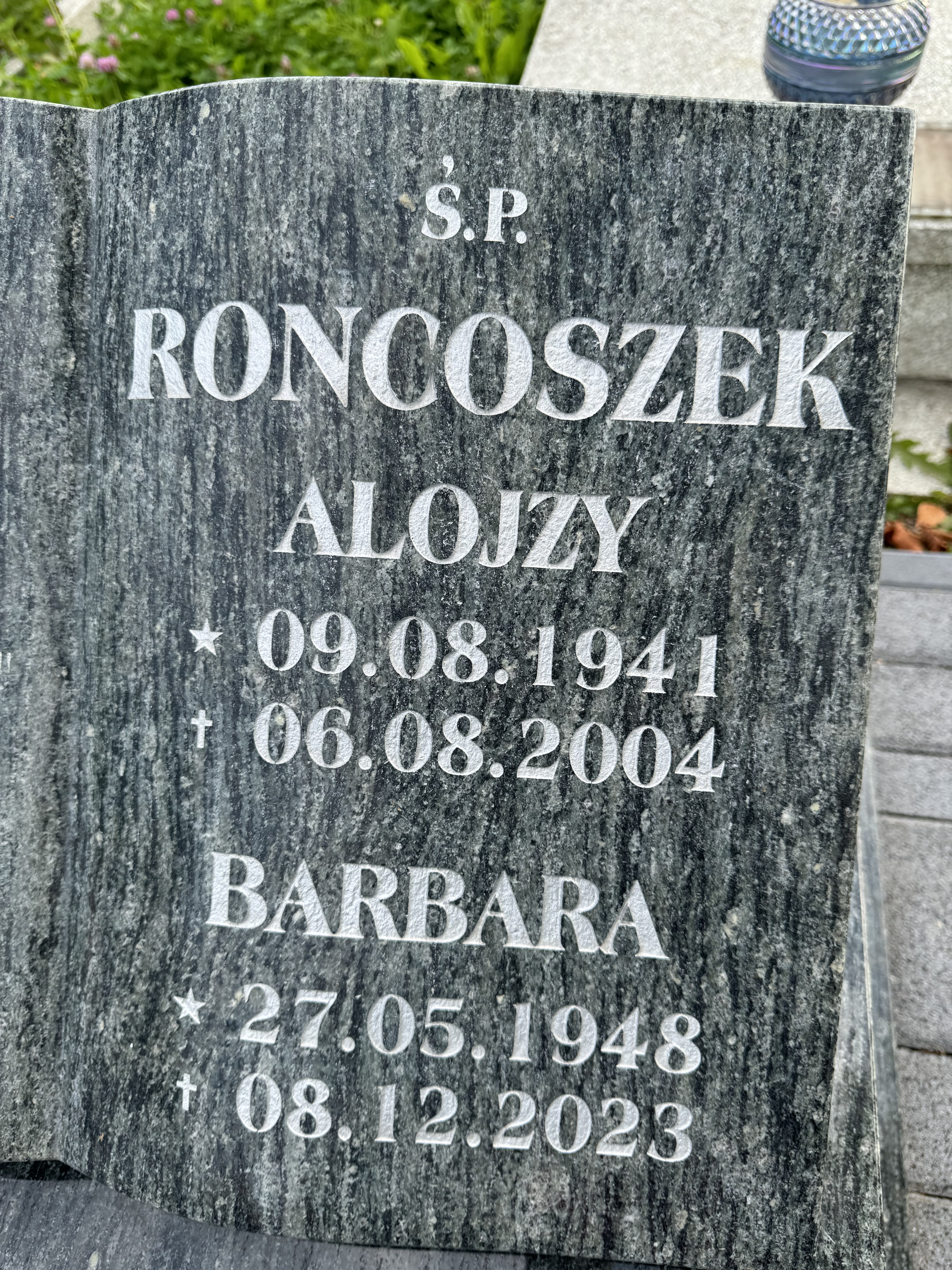 Grób Alojzy Roncoszek