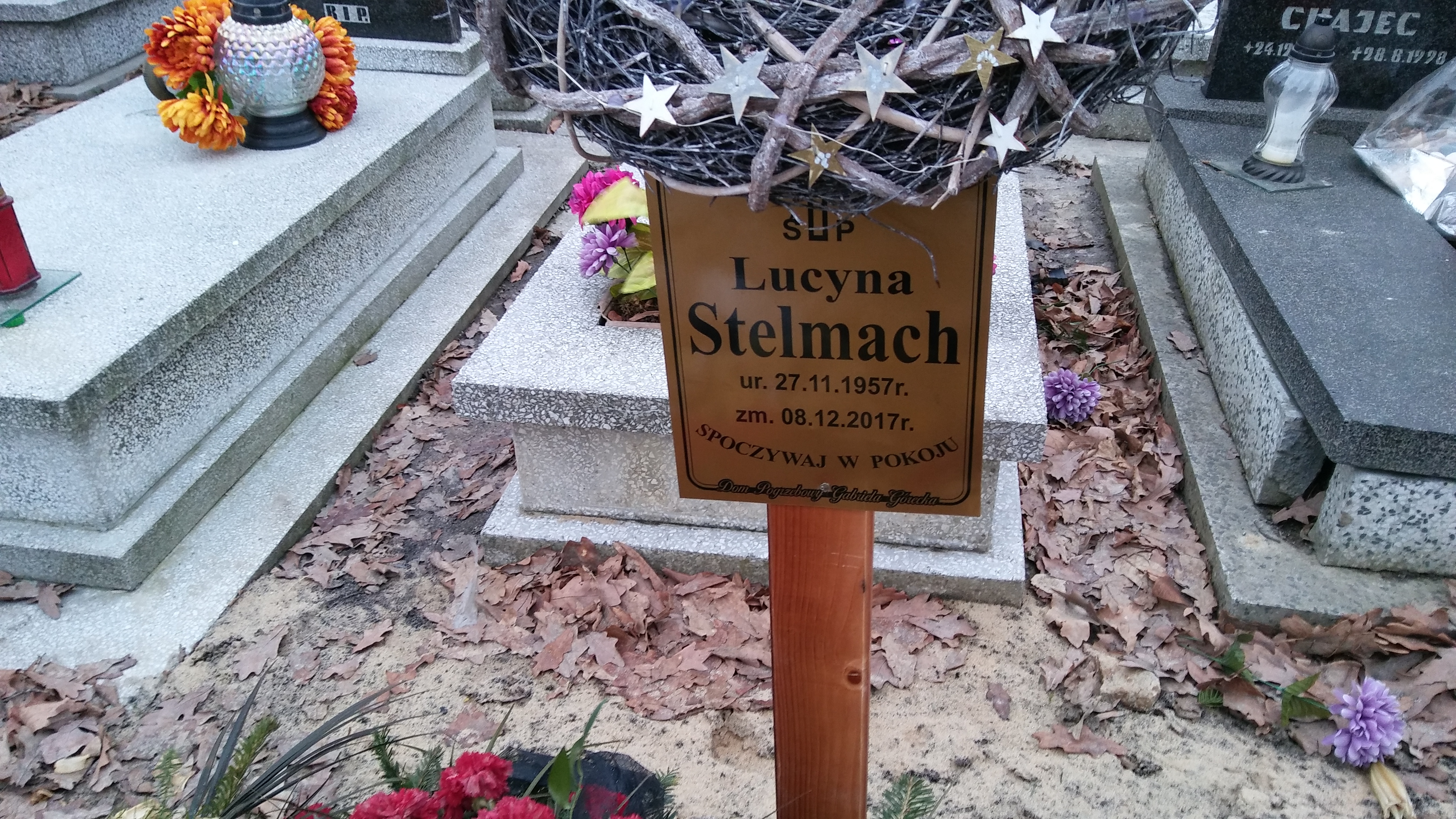 Lucyna Stelmach 1957 Mysłowice NSPJ - Grobonet - Wyszukiwarka osób pochowanych