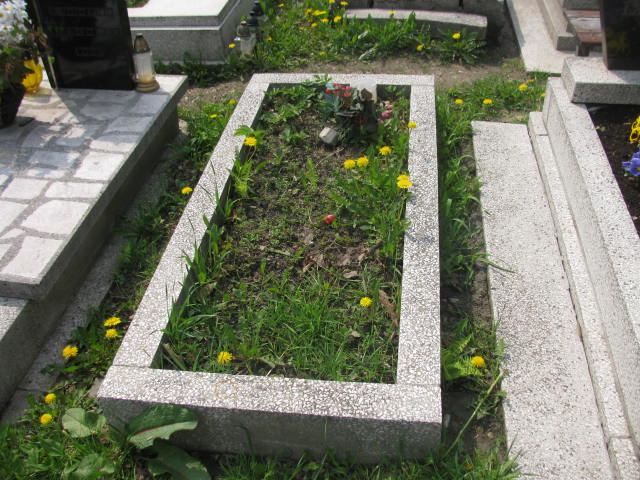 Eugeniusz Gradoń Mysłowice NSPJ - Grobonet - Wyszukiwarka osób pochowanych