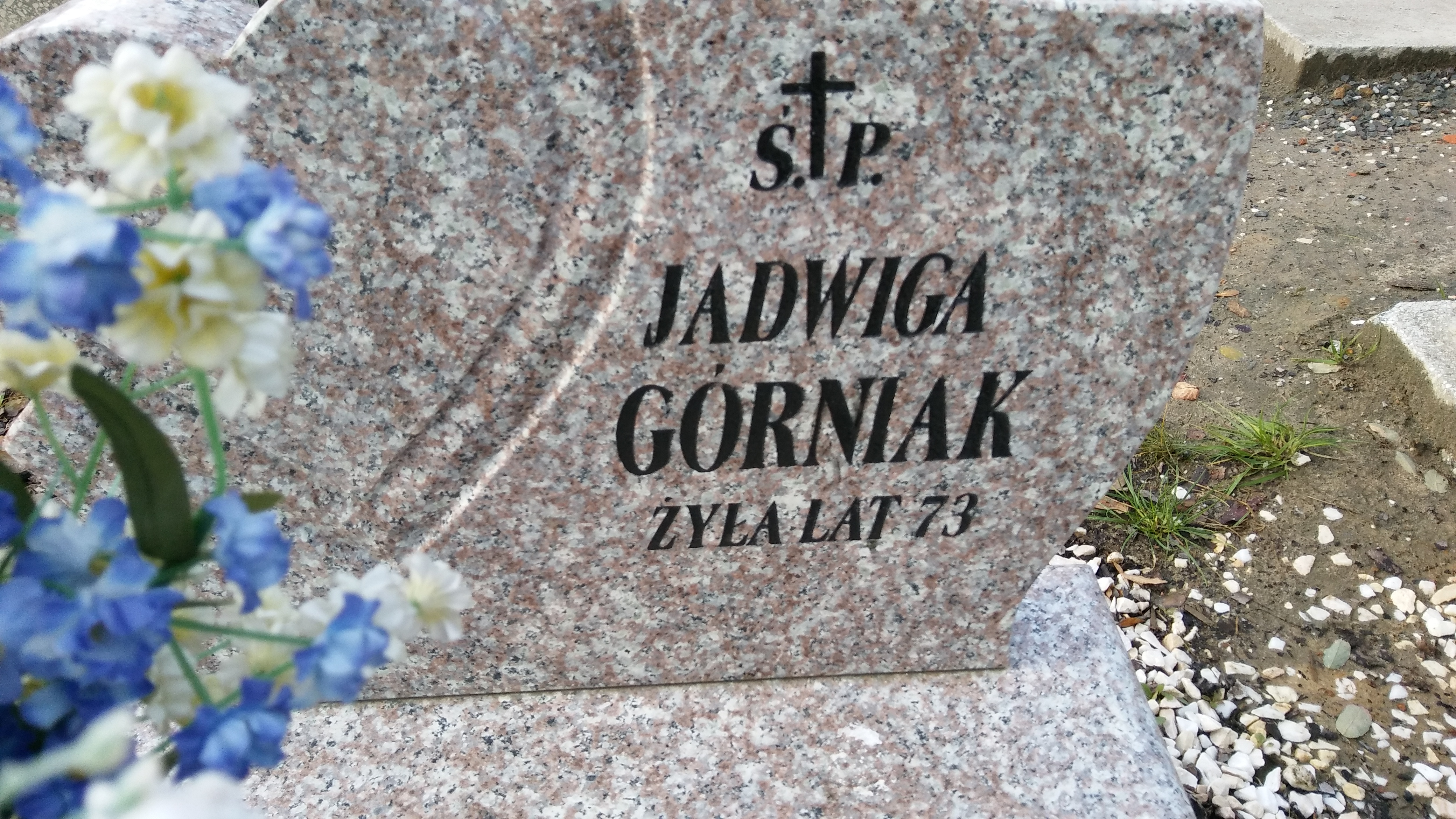 Jadwiga Górniak 1918 Mysłowice NSPJ - Grobonet - Wyszukiwarka osób pochowanych