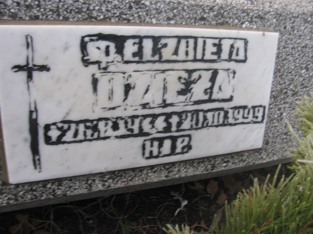 Krzysztof Dzieża 1968 Mysłowice NSPJ - Grobonet - Wyszukiwarka osób pochowanych