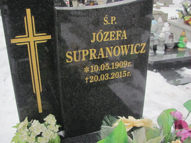 Michał Sobański 1890 Mysłowice NSPJ - Grobonet - Wyszukiwarka osób pochowanych