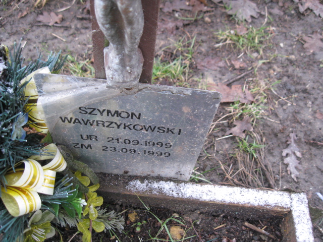 Grób Szymon Wawrzykowski