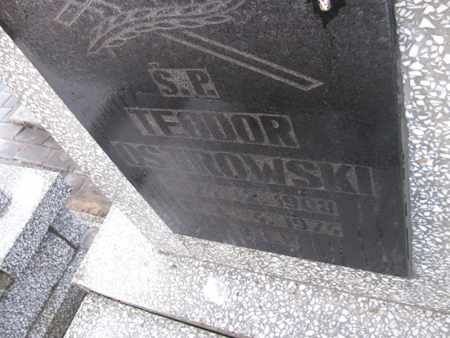 Teodor Ostrowski 1908 Mysłowice NSPJ - Grobonet - Wyszukiwarka osób pochowanych