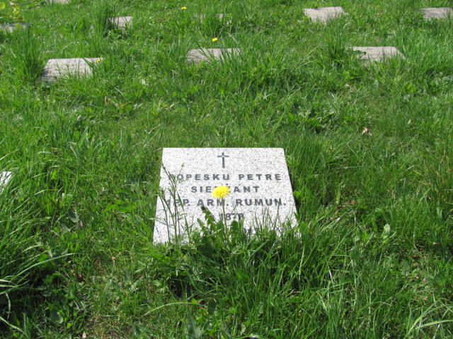 Petre Popesku 1878 Mysłowice NSPJ - Grobonet - Wyszukiwarka osób pochowanych