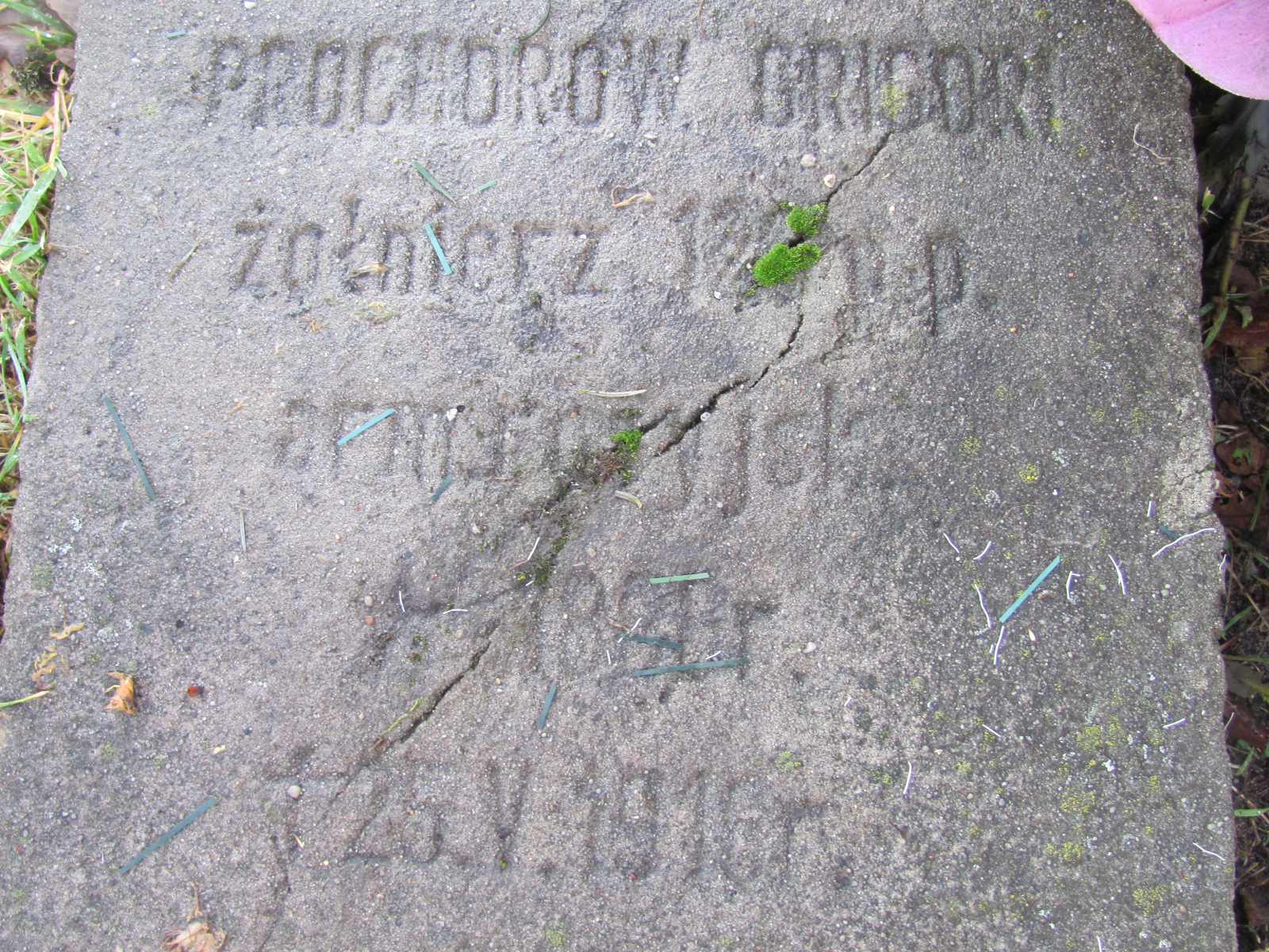 Zdjęcie grobu