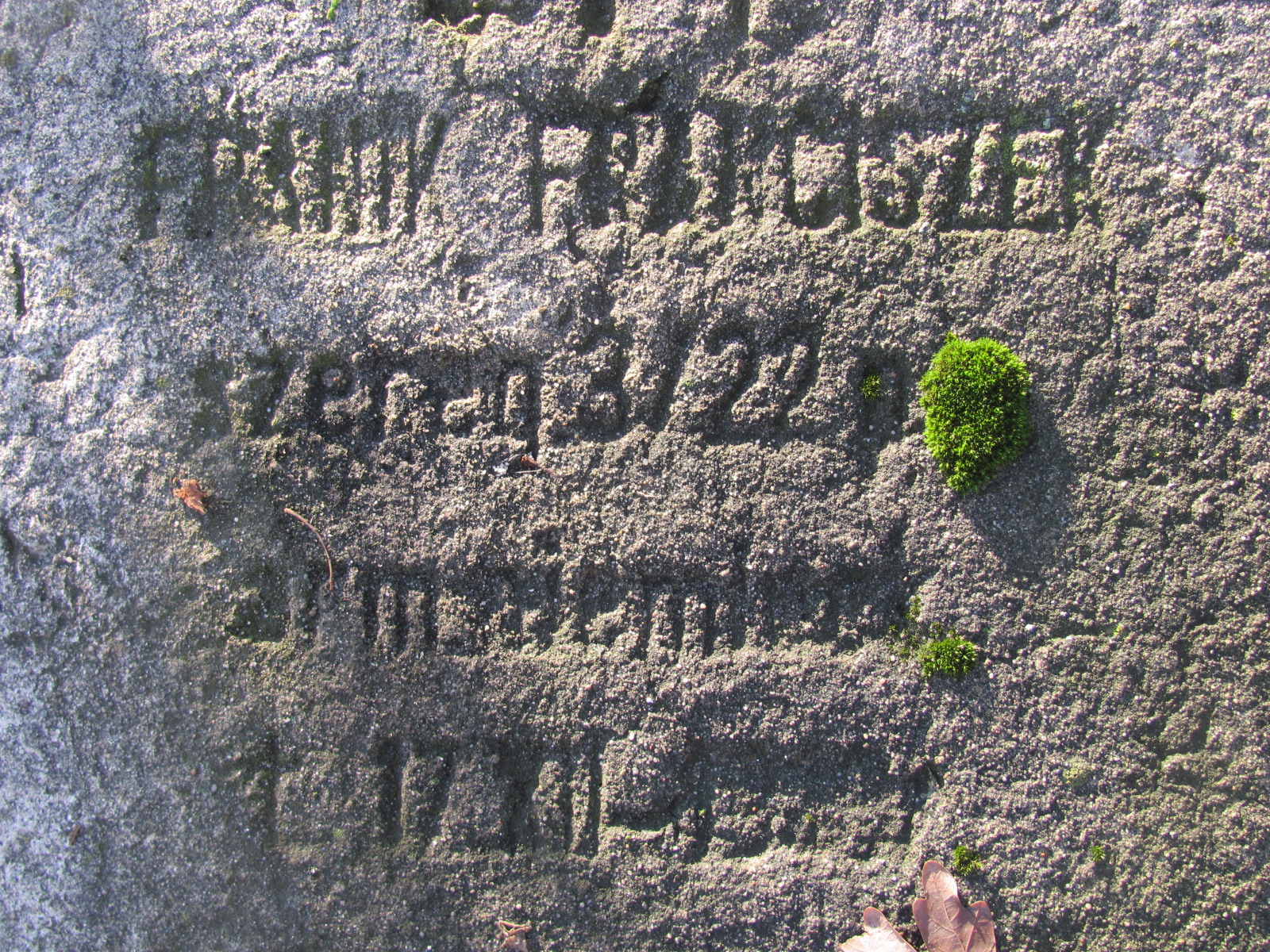 Zdjęcie grobu