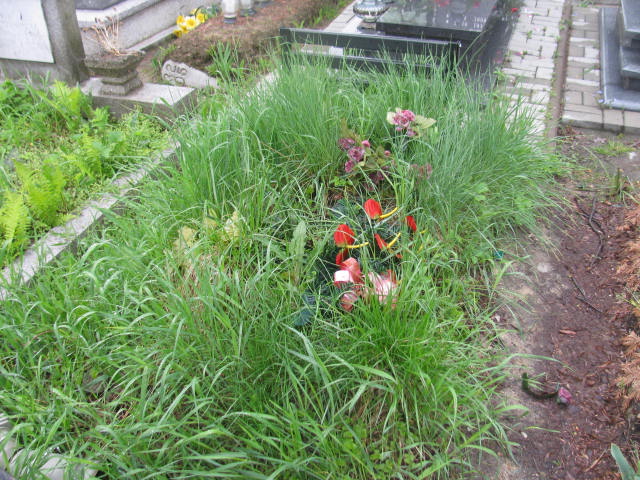  NN Mysłowice NSPJ - Grobonet - Wyszukiwarka osób pochowanych