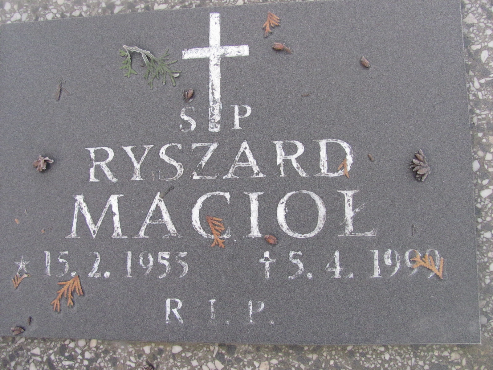 Ryszard Macioł 1955 Mysłowice NSPJ - Grobonet - Wyszukiwarka osób pochowanych