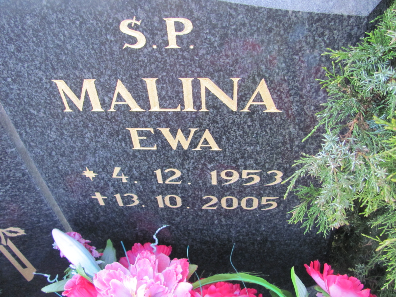 Ewa Malina 1953 Mysłowice NSPJ - Grobonet - Wyszukiwarka osób pochowanych