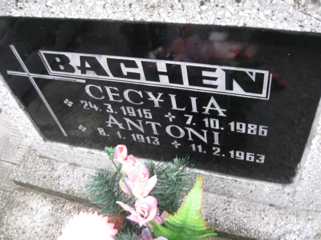 Antoni Bacheń 1913 Mysłowice NSPJ - Grobonet - Wyszukiwarka osób pochowanych