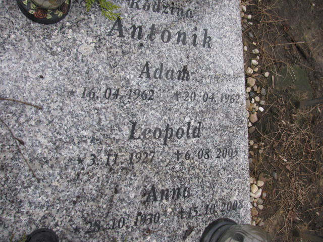Adam Antonik 1962 Mysłowice NSPJ - Grobonet - Wyszukiwarka osób pochowanych