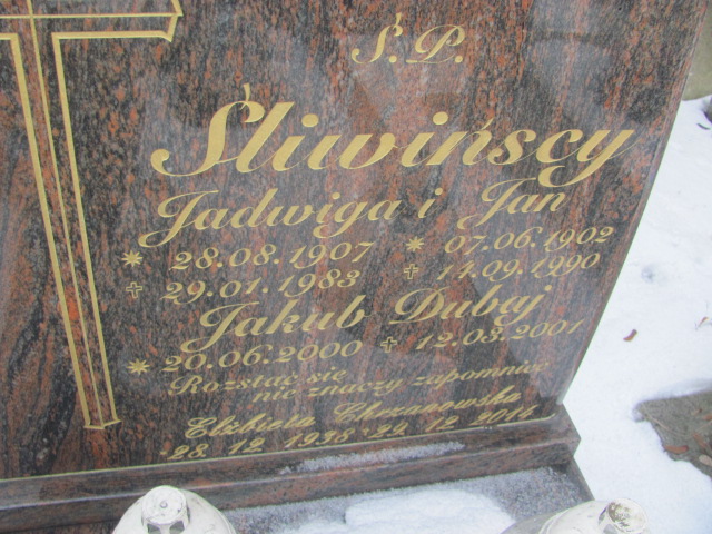 Elżbieta Chrzanowska 1938 Mysłowice NSPJ - Grobonet - Wyszukiwarka osób pochowanych